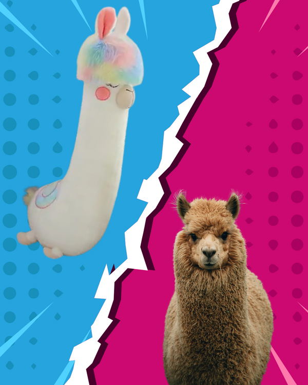 Kawaii Pluche Knuffels VS Dieren 